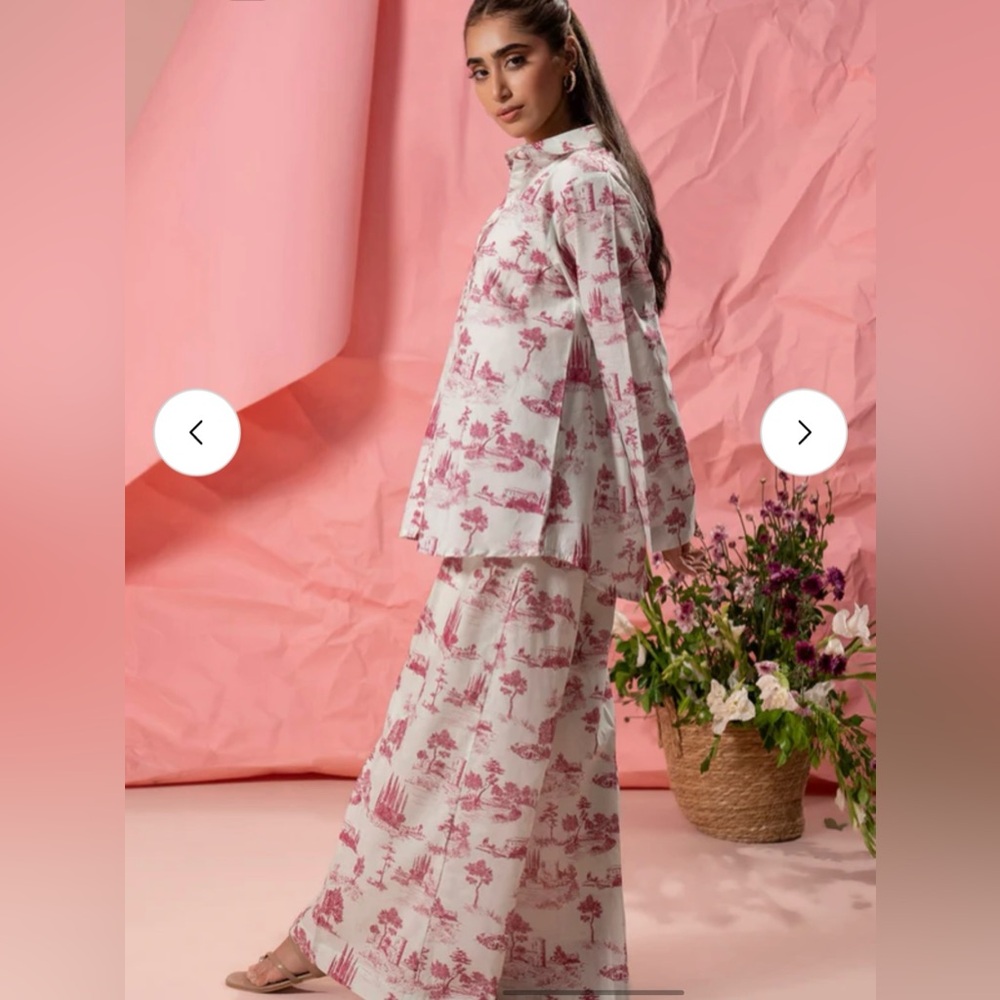 Pakistani Indian co ord set